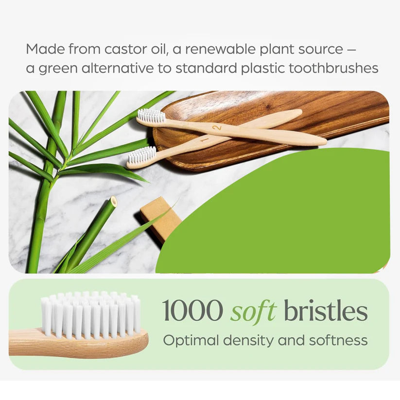 Eco-Friendly Natural Bamboo Toothbrush with Medium Bristles (2 Pc ...