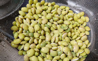 Organic Avarekai Fresh Beans-Peeled