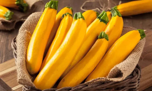 Organic Zucchini Yellow