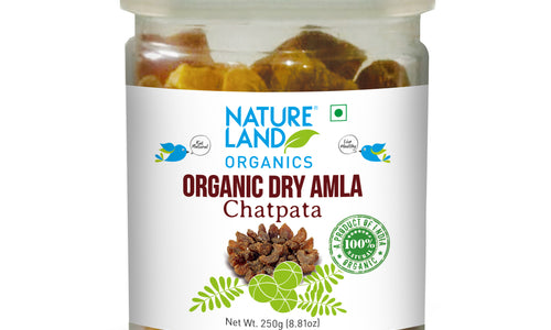 Organic Dry Amla Candy Chatpata-NL