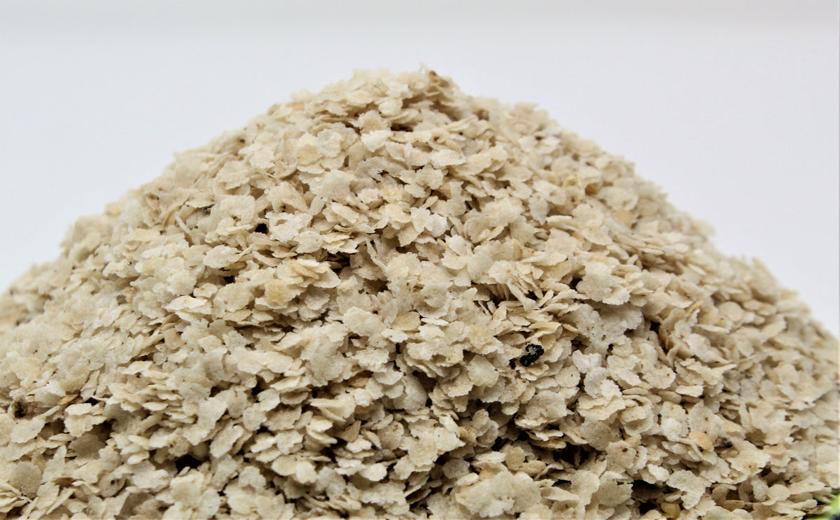 Organic Barnyard Millet Flakes GreenDNA® India