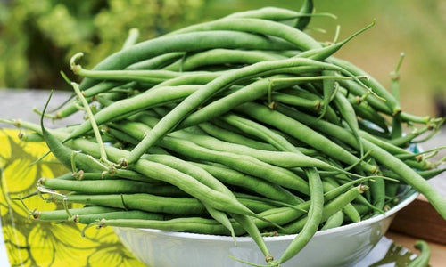 Organic  Beans (Nati)