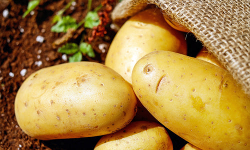 Organic Potato-Offer
