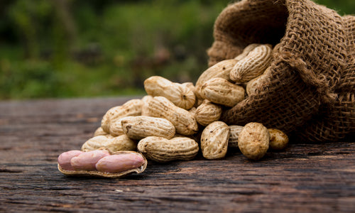 Organic Raw Peanuts with shell