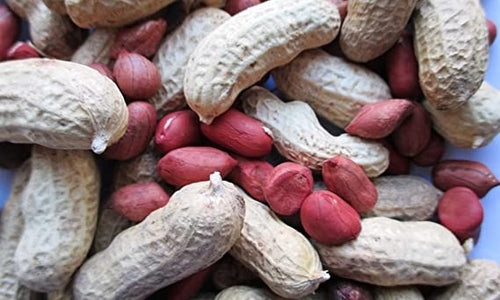 Organic Groundnut with shell (Red)