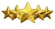 vijaya b
