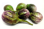 Organic Brinjal Purple-OFFER