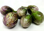 Organic Brinjal Purple-OFFER