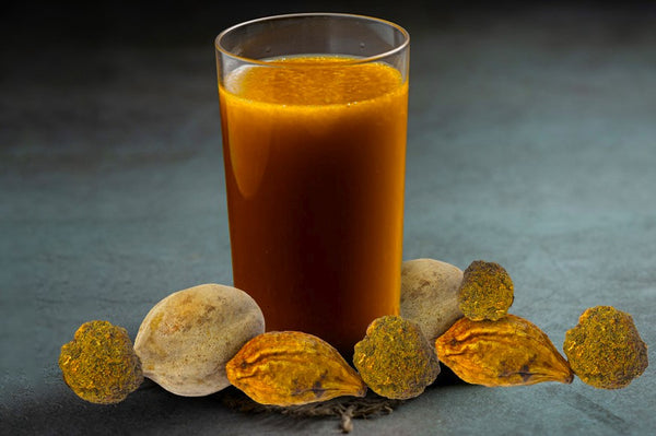 Organic Triphala Juice – GreenDNA® India - Main Image