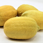 Organic Gandharaj Lemon (Kagzi Nibu)