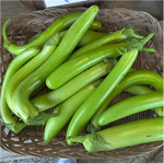 Organic Brinjal Green long- Offer