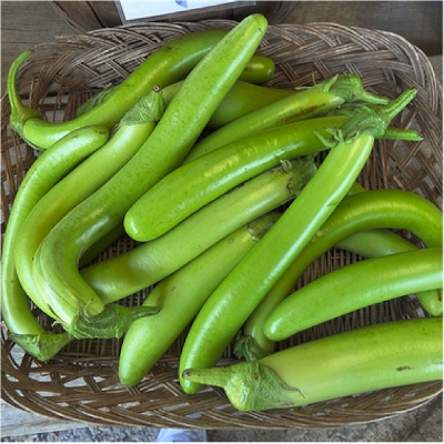 Organic Brinjal Green long- Offer