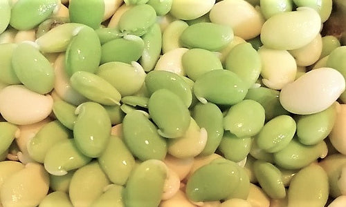 Organic Avarekai Fresh Beans-Double Peeled (Idhikina Bele)