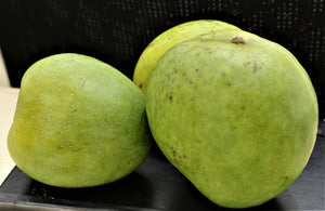 Organic Mango Malgova