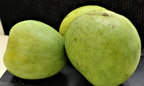 Organic Mango Malgova