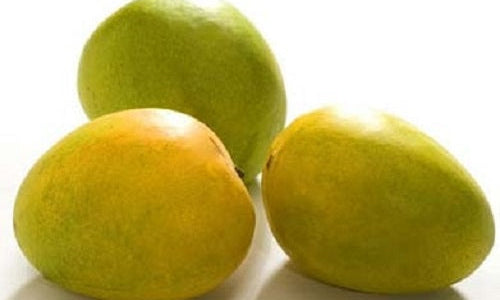Organic Kal Neelam Mango-Offer