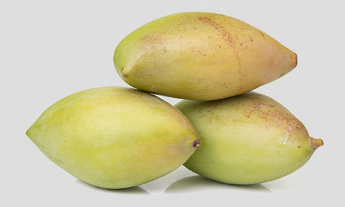 Organic Raw Mango Totapuri-Offer
