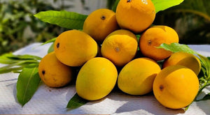 Organic Mango Alphonso big (each around 200g-250g)-Offer