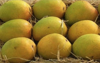 Organic Mango Alphonso big (each around 250g-300g)