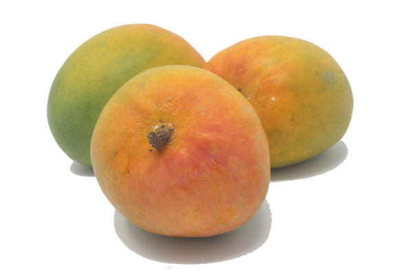 Organic Devgad Aapus Alphonso Mango