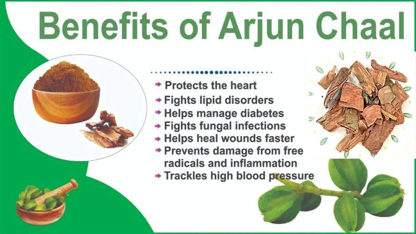 Organic-Natural Arjun Bark Whole – GreenDNA® India