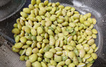 Organic Frozen Avarekai/Avarekallu Beans-Peeled