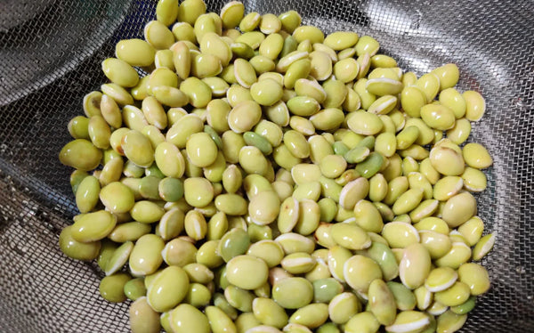 Organic Frozen Avarekai/Avarekallu Beans-Peeled