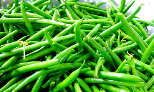 Organic French / Ring Beans- OFFER