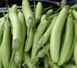 Organic Brinjal Green long- Offer