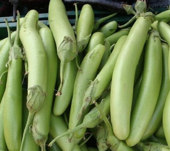 Organic Brinjal Green long- Offer