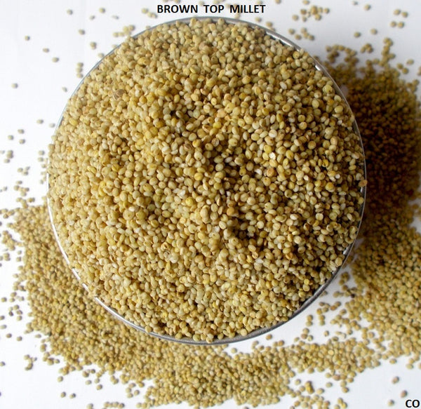 Organic Browntop Millet Rice Unpolished (Andu Korralu / Korale)