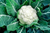 Organic Cauliflower