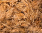 Organic Coconut Husk