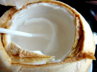 Organic Young Coconut Meat Slices