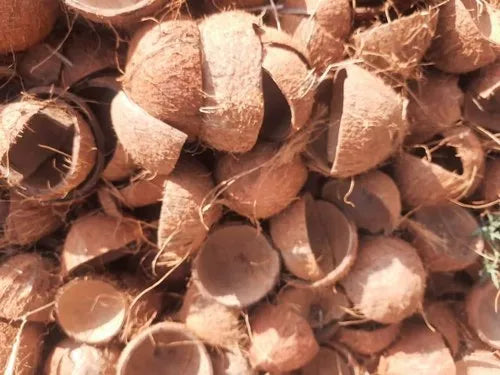 Organic Natural Dry Coconut Shell