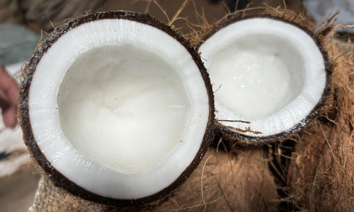 Coconut Combo of 3Pc