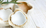 Organic Young Coconut Meat Cubes