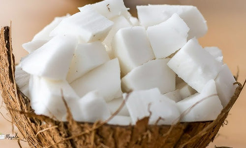 Organic Raw Coconut Meat Cubes