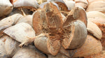 Organic Natural Dry Coconut Husk Full