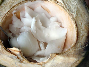 Organic Young Coconut Meat