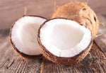 Organic Coconut XL