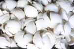 Organic Young Coconut Meat Frozen