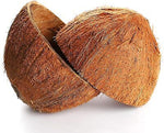 Organic Natural Dry Coconut Shell for Craft