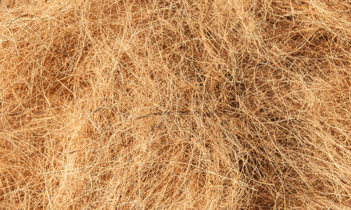 Organic Coconut Fiber