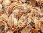 Organic Coconut Husk