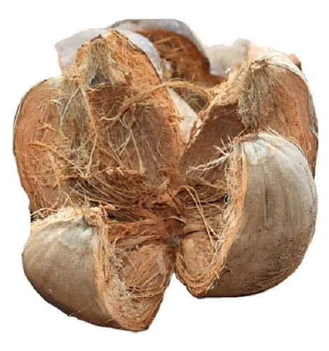 Organic Natural Dry Coconut Husk Full
