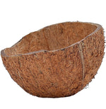 Organic Natural Dry Coconut Shell for Craft