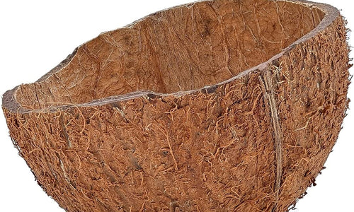 Organic Natural Dry Coconut Shell for Craft
