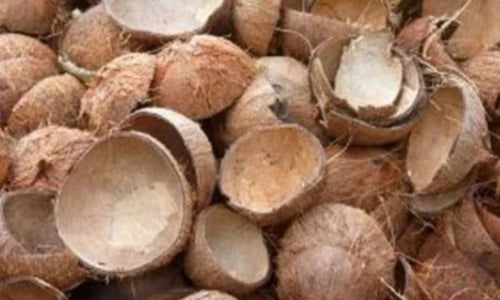 Organic Natural Dry Coconut Shell