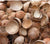 Organic Natural Dry Coconut Shell